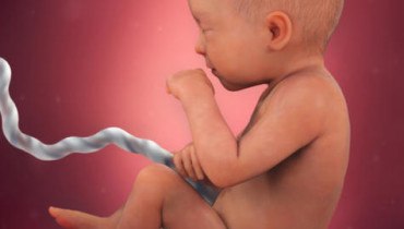 15th-week-of-pregnancy