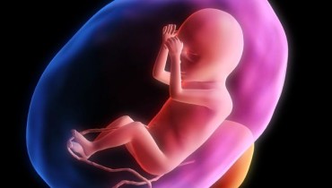 16th-week-of-pregnancy
