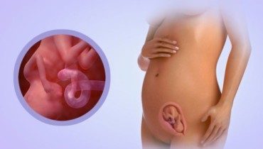 17th-week-of-pregnancy