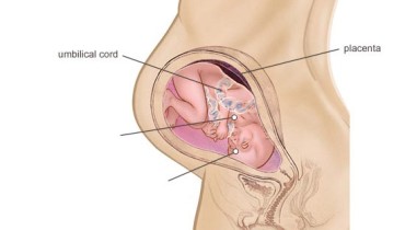 28th-week-of-pregnancy